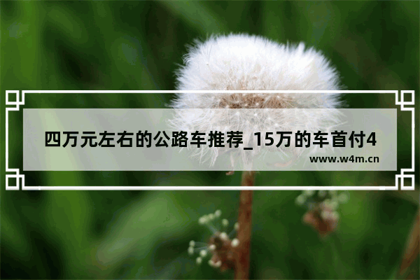 四万元左右的公路车推荐_15万的车首付4万月供多少