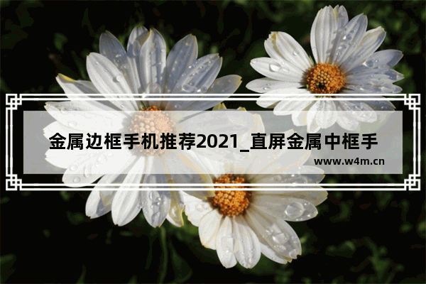 金属边框手机推荐2021_直屏金属中框手机推荐