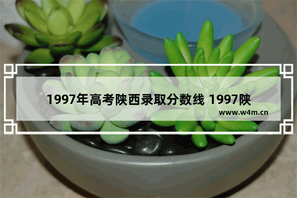 1997年高考陕西录取分数线 1997陕西省高考分数线