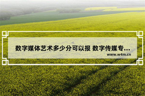 数字媒体艺术多少分可以报 数字传媒专业的高考分数线