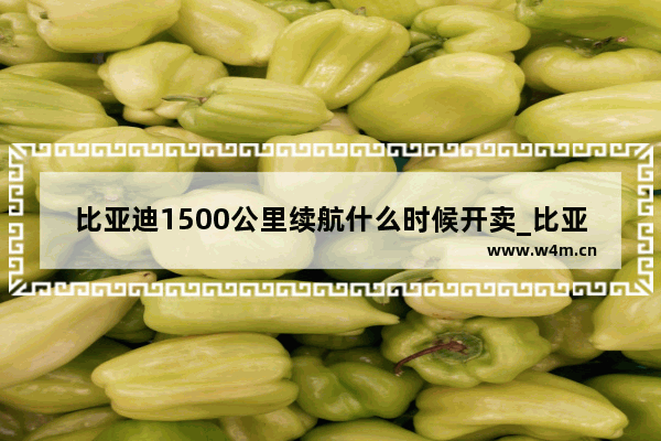 比亚迪1500公里续航什么时候开卖_比亚迪销售有前途吗