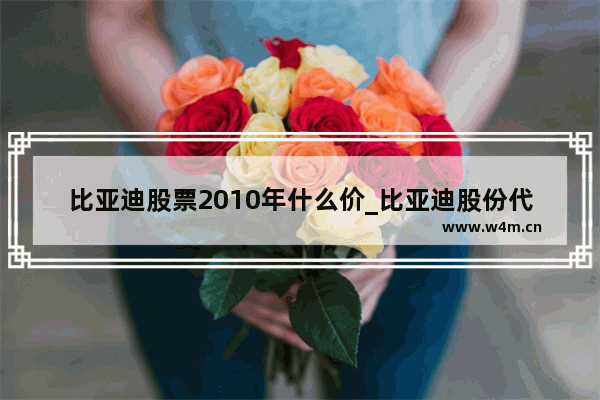 比亚迪股票2010年什么价_比亚迪股份代码是什么