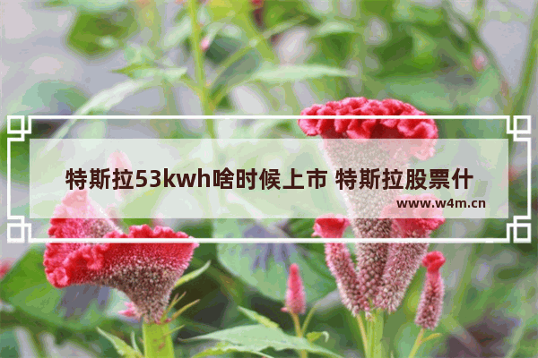 特斯拉53kwh啥时候上市 特斯拉股票什么时候暴涨