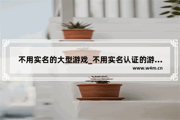 不用实名的大型游戏_不用实名认证的游戏手机版