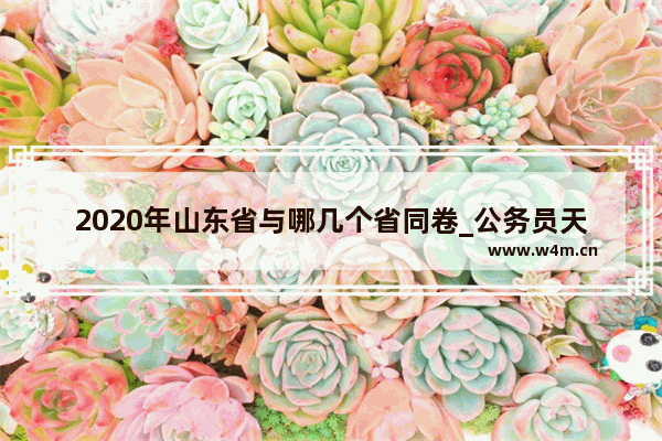 2020年山东省与哪几个省同卷_公务员天津好考还是山东好考