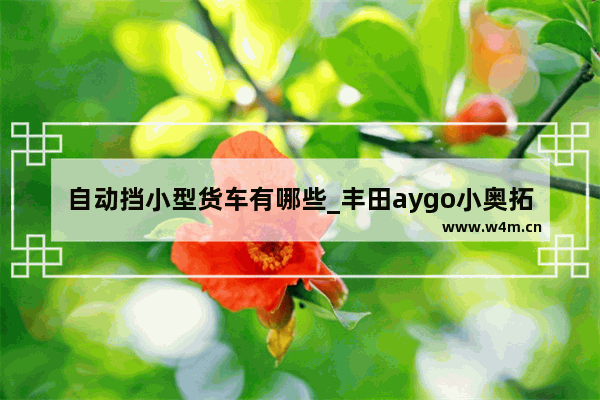 自动挡小型货车有哪些_丰田aygo小奥拓自动挡