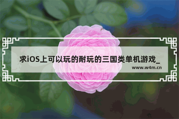 求iOS上可以玩的耐玩的三国类单机游戏_2021十大ipad值得玩的游戏