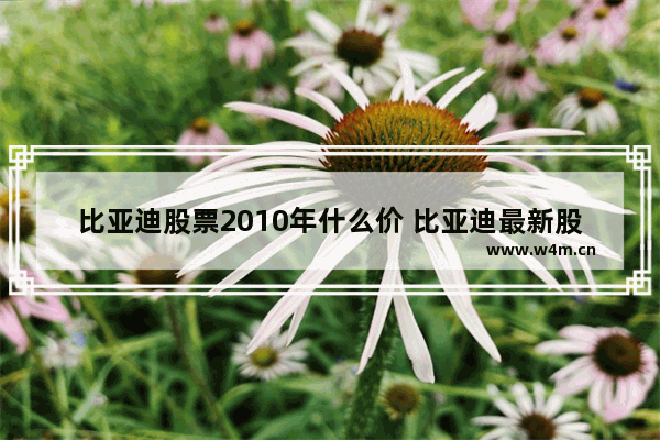 比亚迪股票2010年什么价 比亚迪最新股票消息