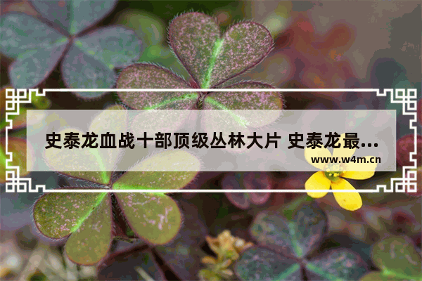 史泰龙血战十部顶级丛林大片 史泰龙最新电影什么名字好看一点儿