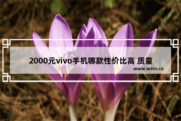 2000元vivo手机哪款性价比高 质量好2021年 两千以内手机推荐哪款