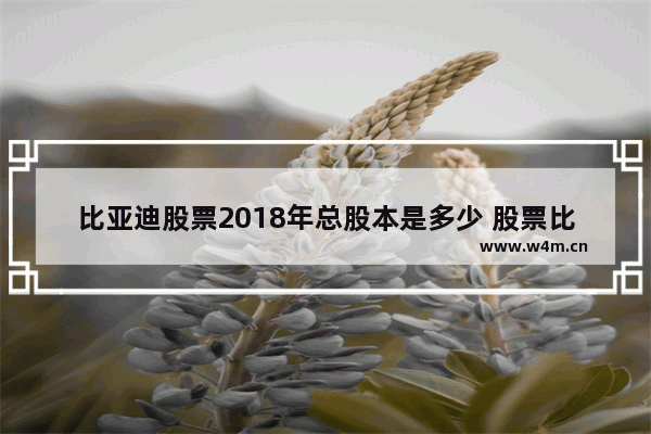 比亚迪股票2018年总股本是多少 股票比亚迪汽车