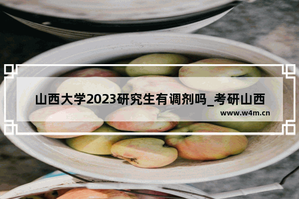 山西大学2023研究生有调剂吗_考研山西大学可以调剂到哪里