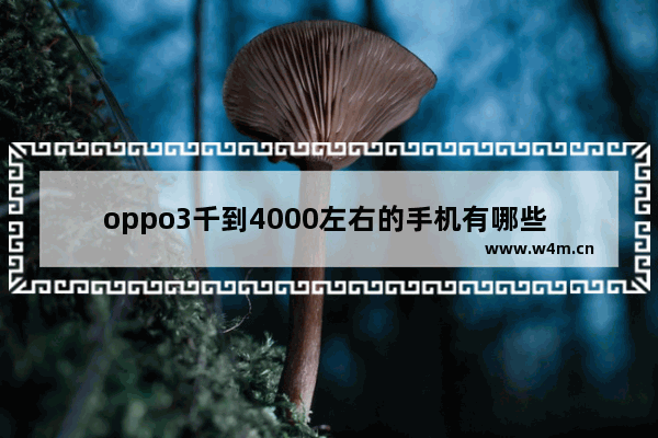 oppo3千到4000左右的手机有哪些 2到3千手机推荐最新