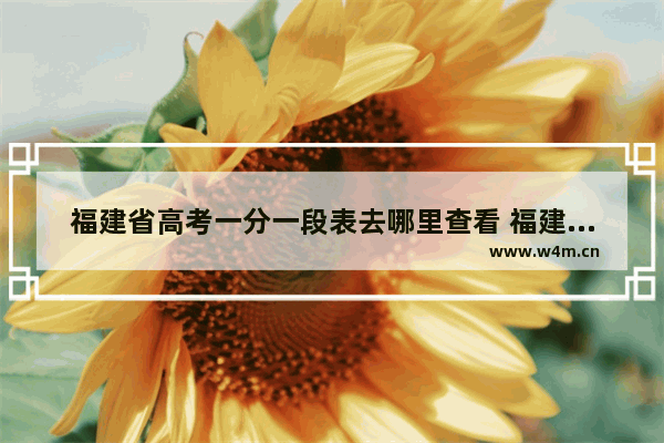 福建省高考一分一段表去哪里查看 福建几号查高考分数线啊
