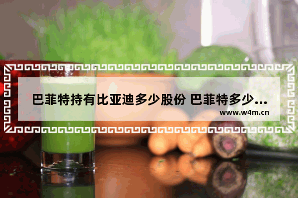 巴菲特持有比亚迪多少股份 巴菲特多少钱买比亚迪股票