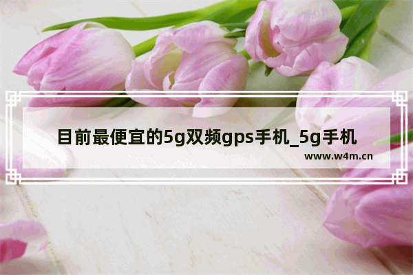 目前最便宜的5g双频gps手机_5g手机最便宜的多少元