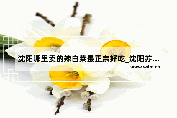 沈阳哪里卖的辣白菜最正宗好吃_沈阳苏家屯有什么特产