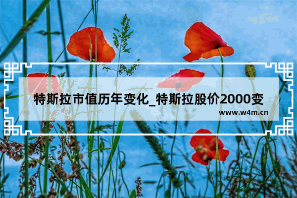 特斯拉市值历年变化_特斯拉股价2000变成400是啥意思