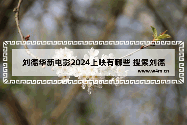 刘德华新电影2024上映有哪些 搜索刘德华最新电影有哪些名字呢