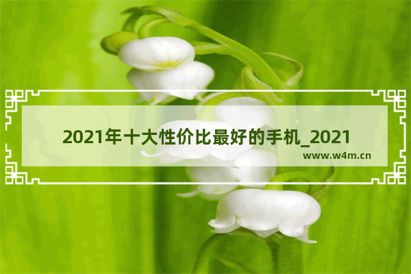 2021年十大性价比最好的手机_2021华为性价比高的手机