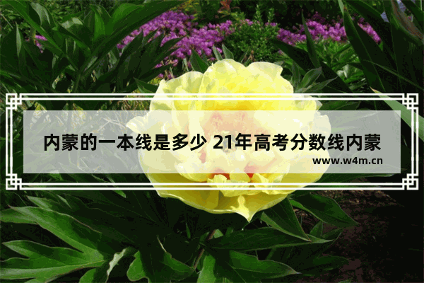 内蒙的一本线是多少 21年高考分数线内蒙