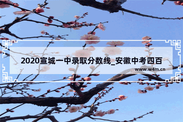 2020宣城一中录取分数线_安徽中考四百多分能上什么学校