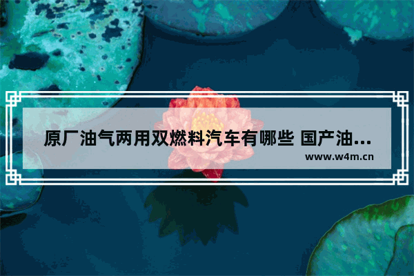 原厂油气两用双燃料汽车有哪些 国产油气两用新车推荐哪款好用点