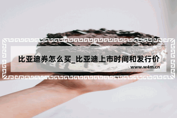 比亚迪券怎么买_比亚迪上市时间和发行价