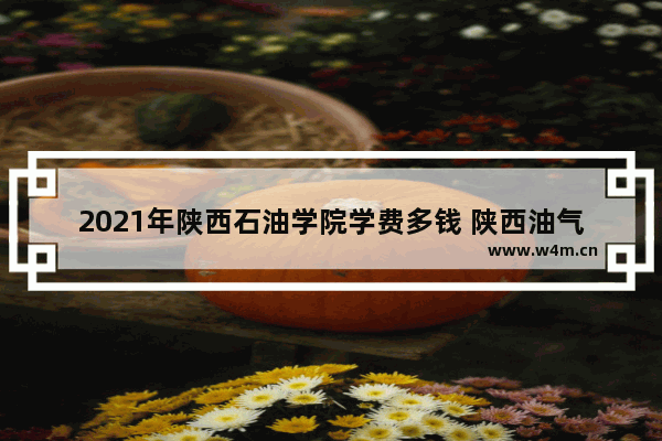 2021年陕西石油学院学费多钱 陕西油气两用新车推荐型号有哪些呢多少钱一辆