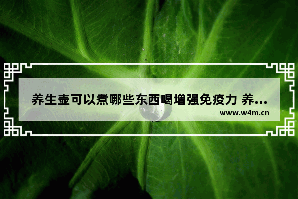 养生壶可以煮哪些东西喝增强免疫力 养生壶用什么功能才能熬中药