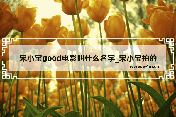 宋小宝good电影叫什么名字_宋小宝拍的电影叫什么名字