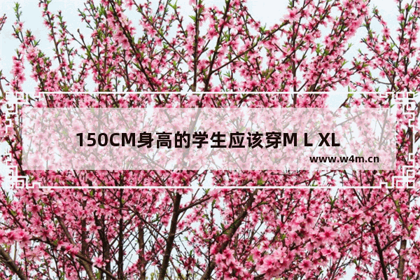 150CM身高的学生应该穿M L XL XXL XXL的哪一种型号 韩系穿搭适合多大身高男