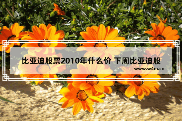 比亚迪股票2010年什么价 下周比亚迪股票走势