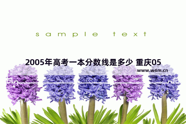 2005年高考一本分数线是多少 重庆05年高考分数线