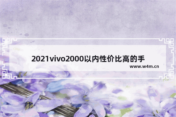 2021vivo2000以内性价比高的手机_现在一千元以下手机推荐哪款