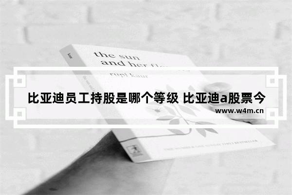 比亚迪员工持股是哪个等级 比亚迪a股票今天价格