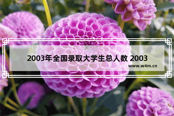 2003年全国录取大学生总人数 2003湖南省高考分数线