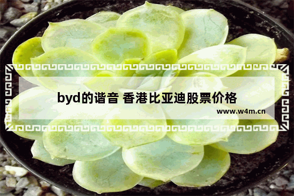 byd的谐音 香港比亚迪股票价格