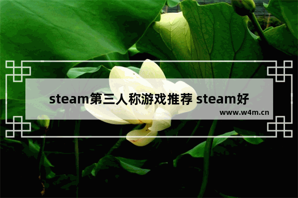 steam第三人称游戏推荐 steam好玩合作冒险游戏推荐