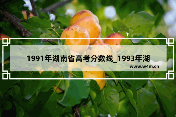 1991年湖南省高考分数线_1993年湖南高考分数线是多少