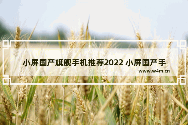 小屏国产旗舰手机推荐2022 小屏国产手机推荐哪款好用