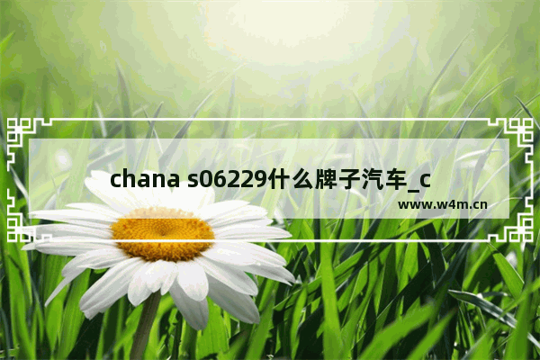 chana s06229什么牌子汽车_chana是什么牌子