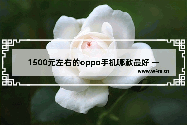 1500元左右的oppo手机哪款最好 一千块手机推荐哪款比较好一点