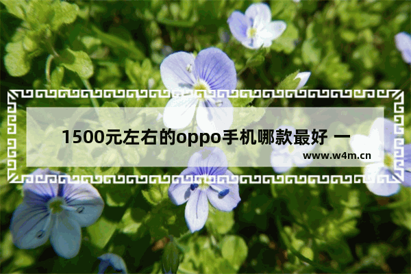 1500元左右的oppo手机哪款最好 一千五元手机推荐哪款