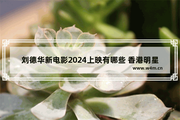 刘德华新电影2024上映有哪些 香港明星刘德华最新电影叫什么来着