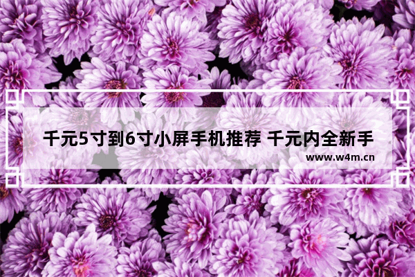 千元5寸到6寸小屏手机推荐 千元内全新手机推荐一下