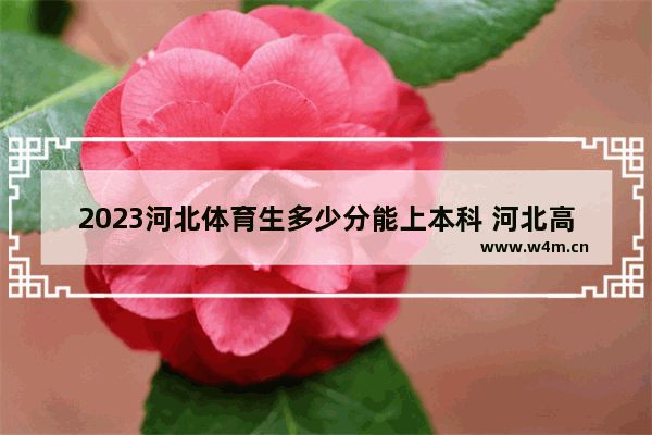 2023河北体育生多少分能上本科 河北高考分数线公布体育生