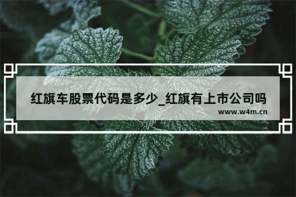 红旗车股票代码是多少_红旗有上市公司吗