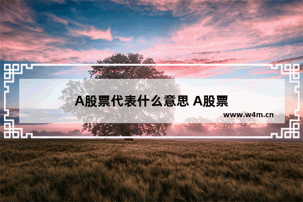 A股票代表什么意思 A股票