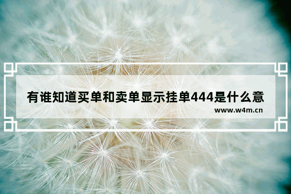 有谁知道买单和卖单显示挂单444是什么意思_股票盘口语言7777什么意思